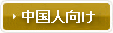 中国人向け